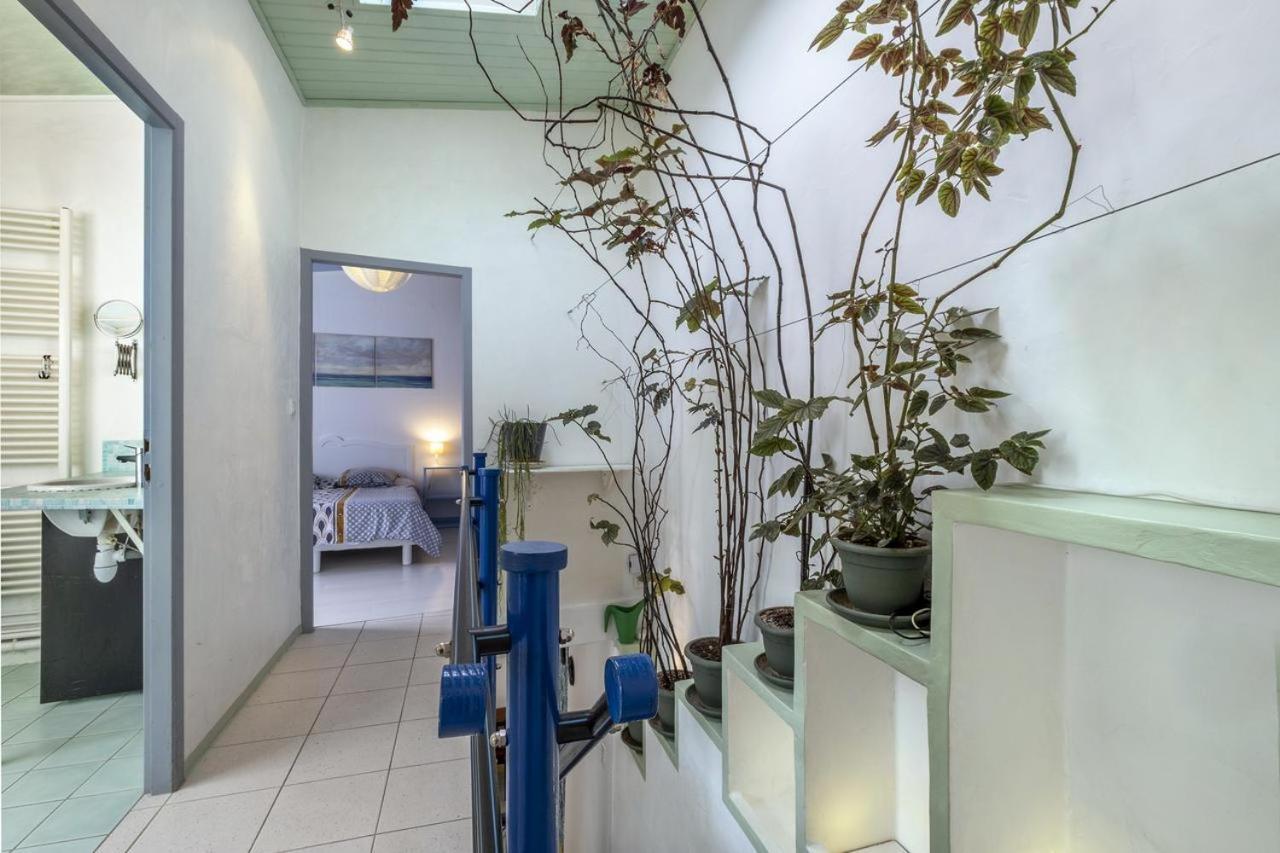 Appartement Les Volets Bleus T3 de 80 m2 patio privatif à Rochefort-sur-Mer Extérieur photo